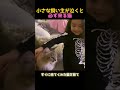 小さな飼い主が泣くと猫が駆けつける理由