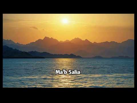 Nassif Zeytoun x ricky rich mi amor lyrics