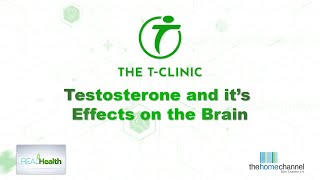 TESTOSTERONE AND ITS EFFECT ON THE BRAIN