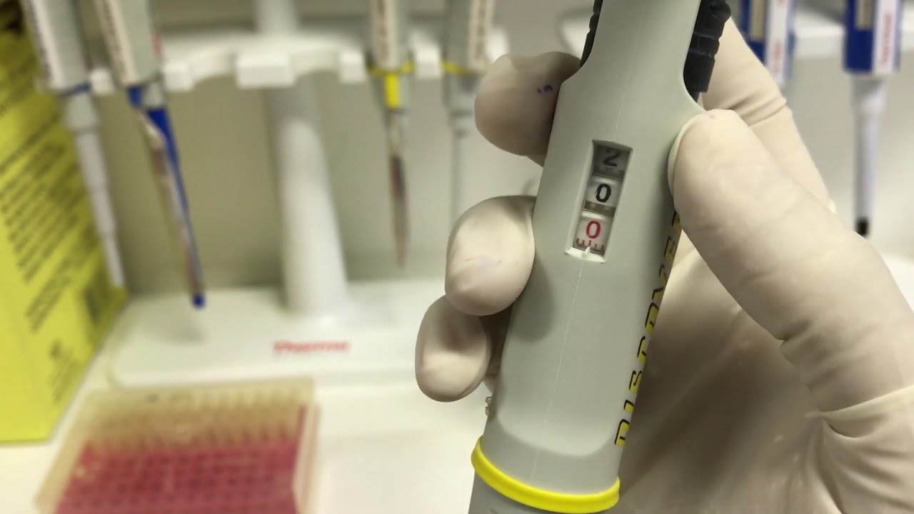 Extração de DNA 3. Adicionando Proteinase K YouTube