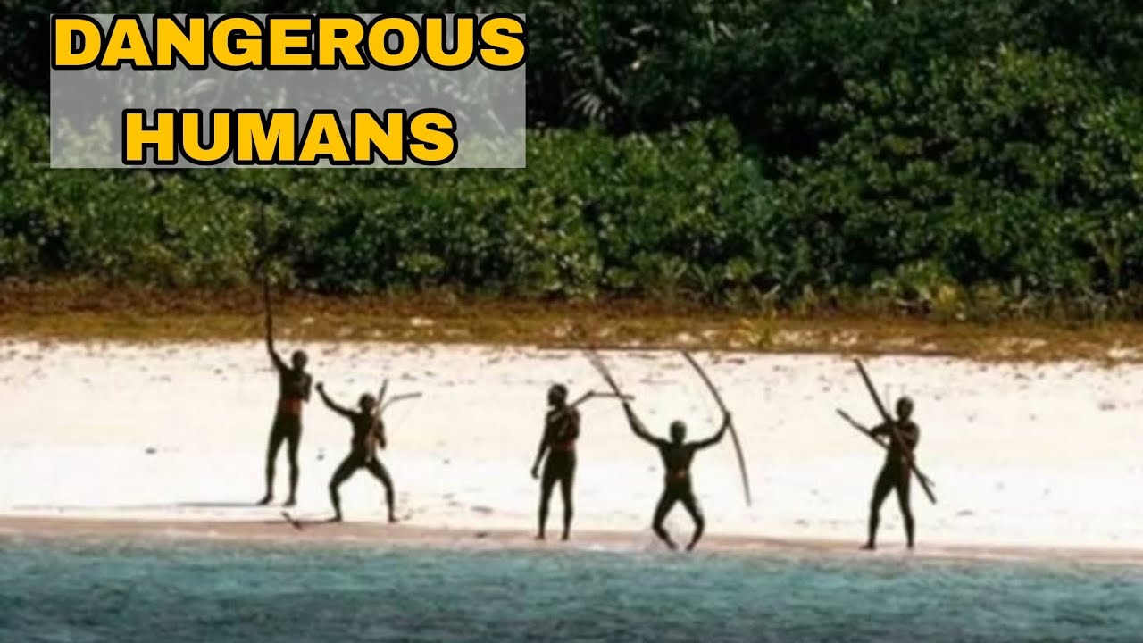 The Untouched world of north sentinel island💀