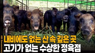 Download Lagu 내비에도 안 뜨는 산골 정육점.. 고기는 없고 태극기만 걸려있는 수상한 가게 | KBS 20160622방송 MP3