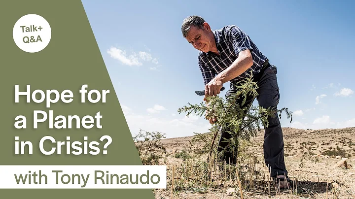 The Forest Underground: Hope for a Planet in Crisi...