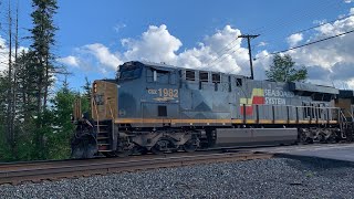 *CSX 1982, the Seaboard Systems heritage unit, pulls 783 as DIT headed east