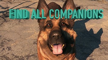 HOW TO FIND YOUR MISSING COMPANIONS FALLOUT 4