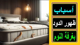 الدودالاسباب الحقيقية لظهور الدود في غرفة النوم وعلى السرير