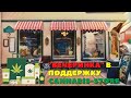 Очередной фэйл ватоката-новичка в Америке. "Вечеринка" в поддержку cannabis-store