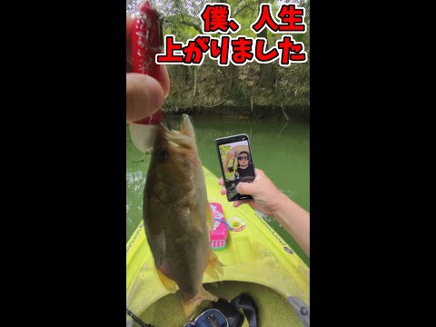 プロレスリングシバター（サブ） - YouTube