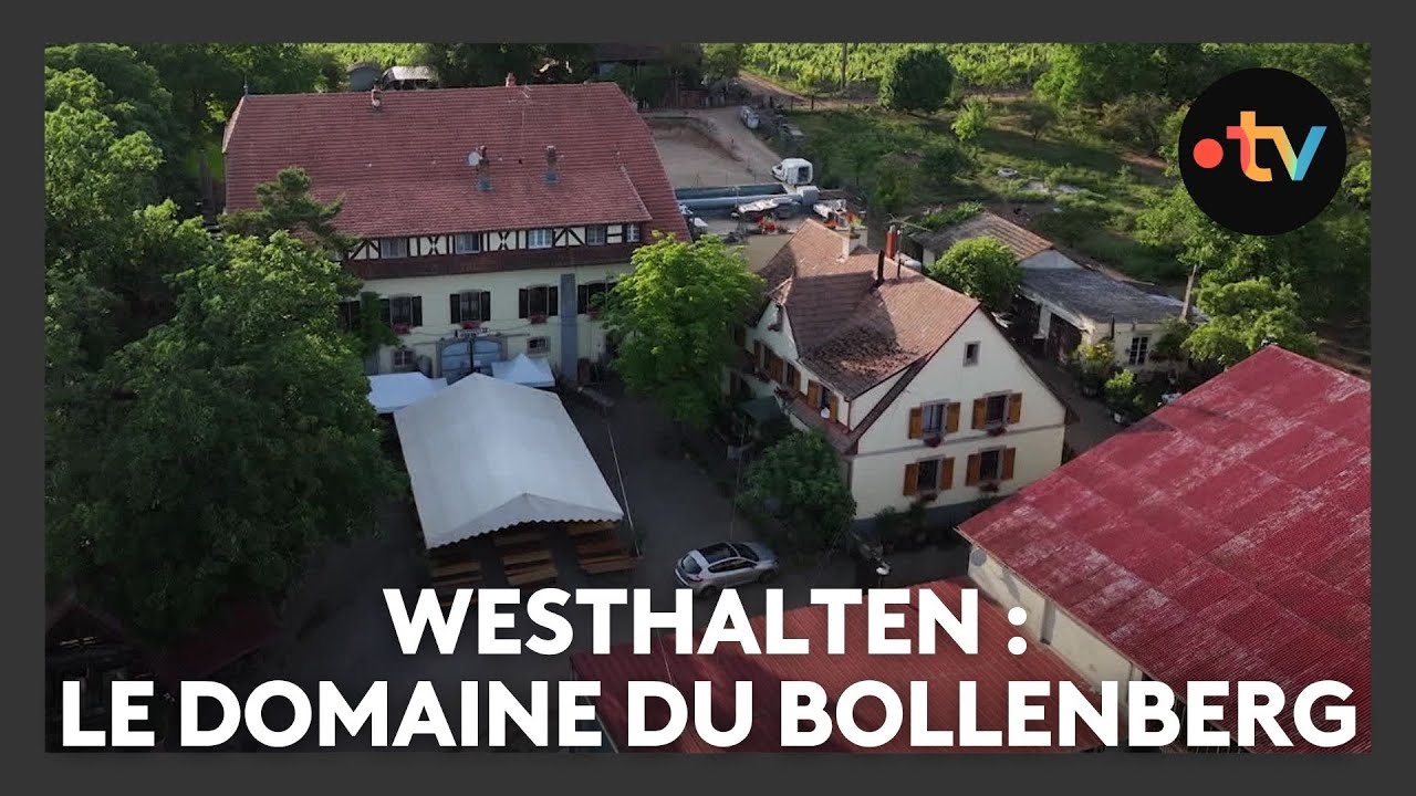 Un lieu, des histoires à Westhalten : le domaine du Bollenberg - Episode 3/4