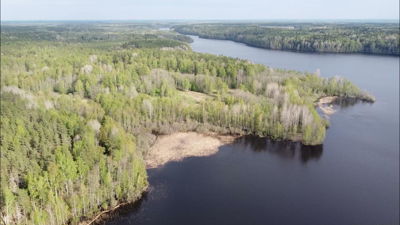 Озеро Любимовское Ленинградская область