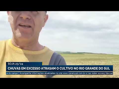 Soja 2023/24: chuvas em excesso atrasam o cultivo no Rio Grande do Sul | Canal Rural