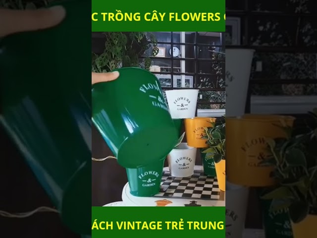 Xô thiếc, chậu trồng cây bằng thiếc Flowers Garden - Vườn Sài Gòn 082799 7777