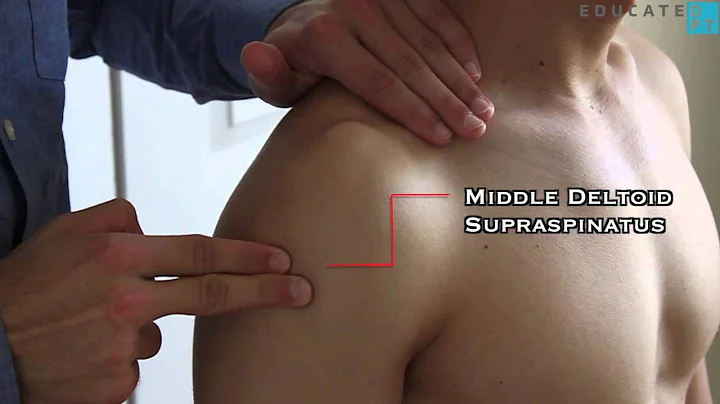 Shoulder Abduction MMT