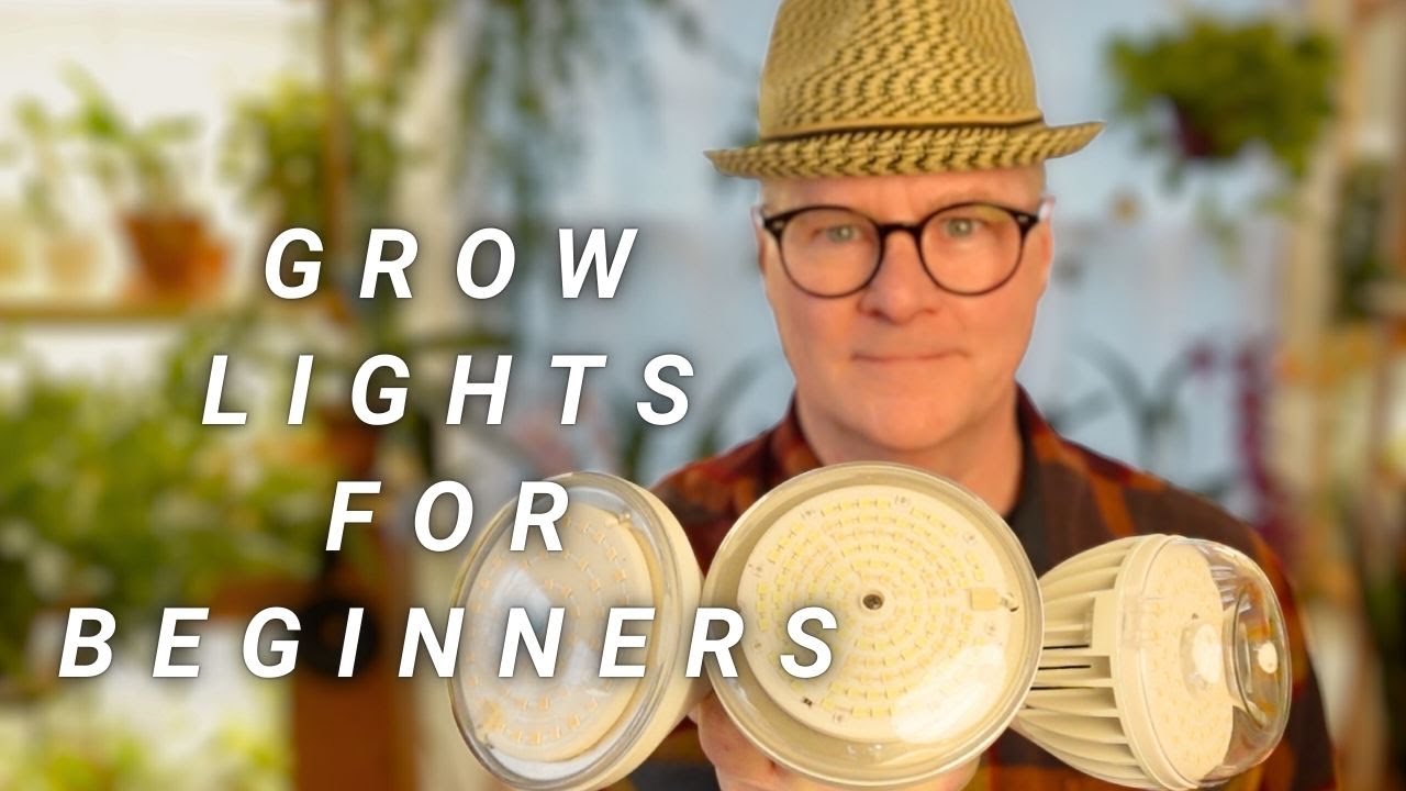 Лучший рост с освещением — короткие и понятные объяснения 💡🌸