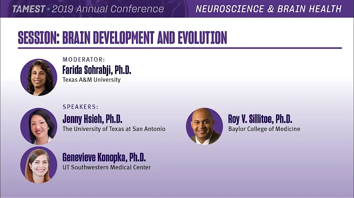 TAMEST 2019: Jenny Hsieh on Brain Development and ...