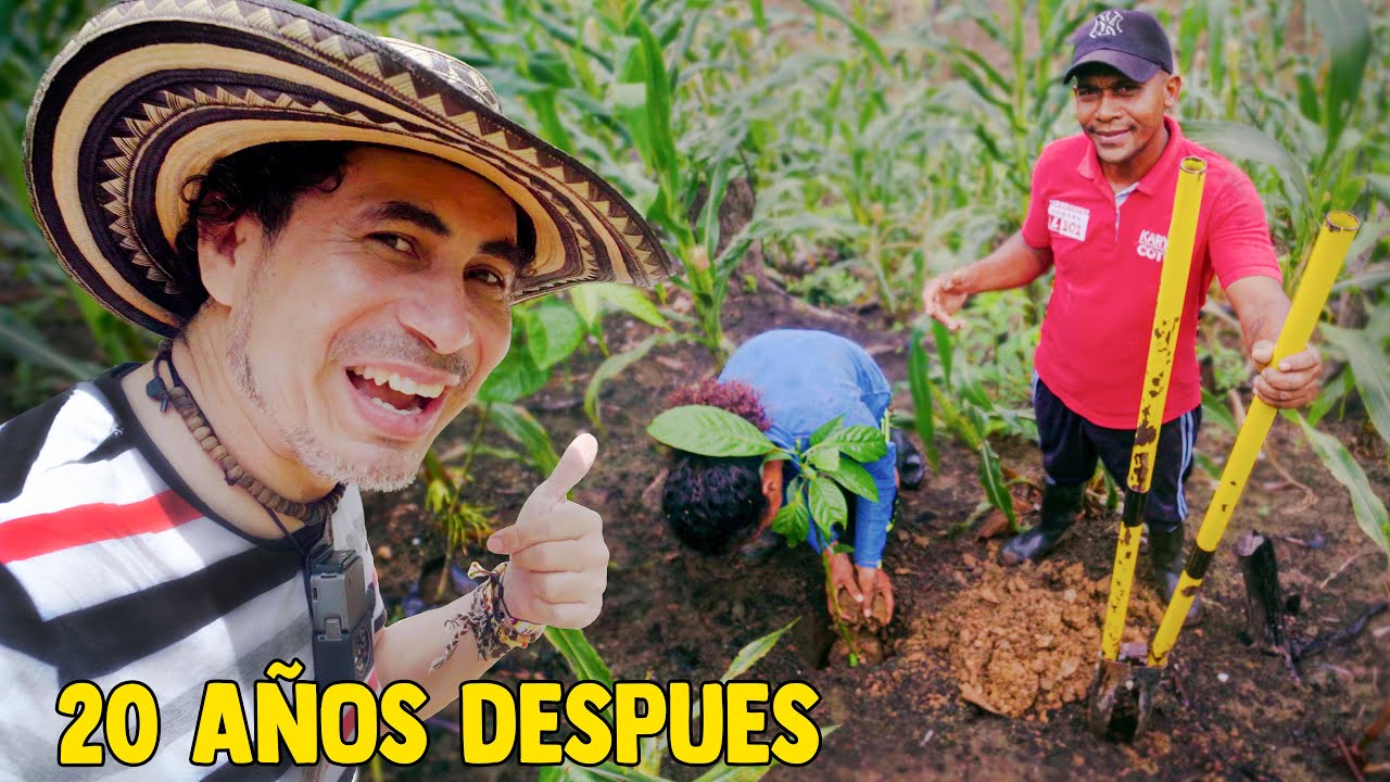 Sembrando Aguacates en los Montes de María - Ruta de Turismo Rural 🇨🇴.