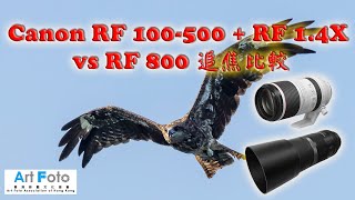【攝影教學 #136】Canon RF 100-500mm + RF 1.4X vs RF 800mm 追焦比較 - Alex Fung FRPS, GMPSA, EFIAP/p