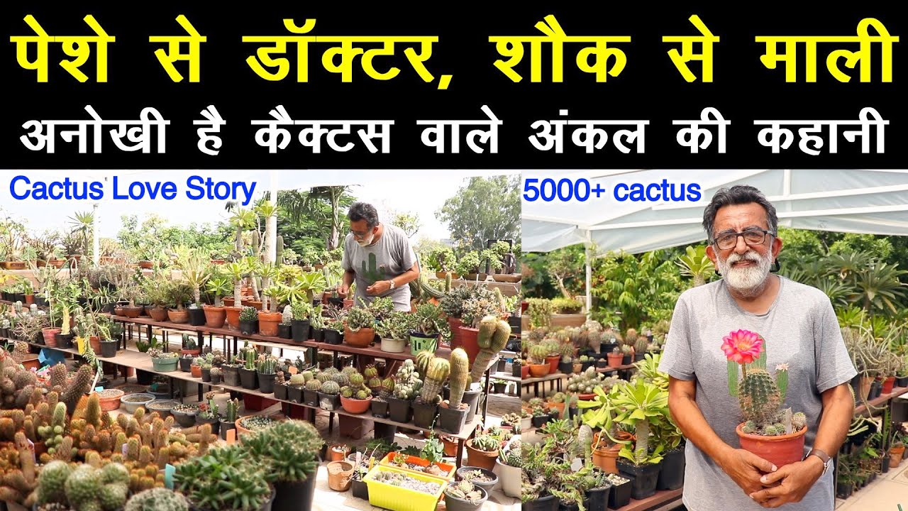 Cactus Love Story😍: Dr. गांधी ने छत पर बना दिया कैक्टस का जंगल, हैरान कर देगा अनोखा कलेक्शन