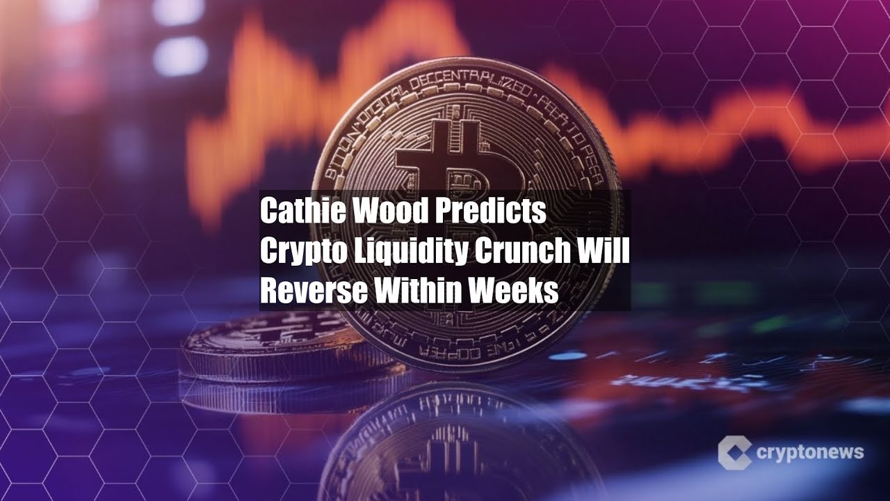 Cathie Wood Predicts Crypto Liquidity Crunch Will Reverse Within - YouTube