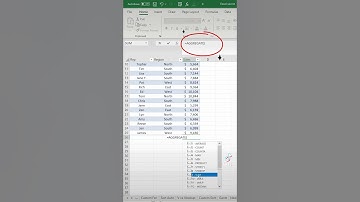 Excel tip to sum visible rows only
