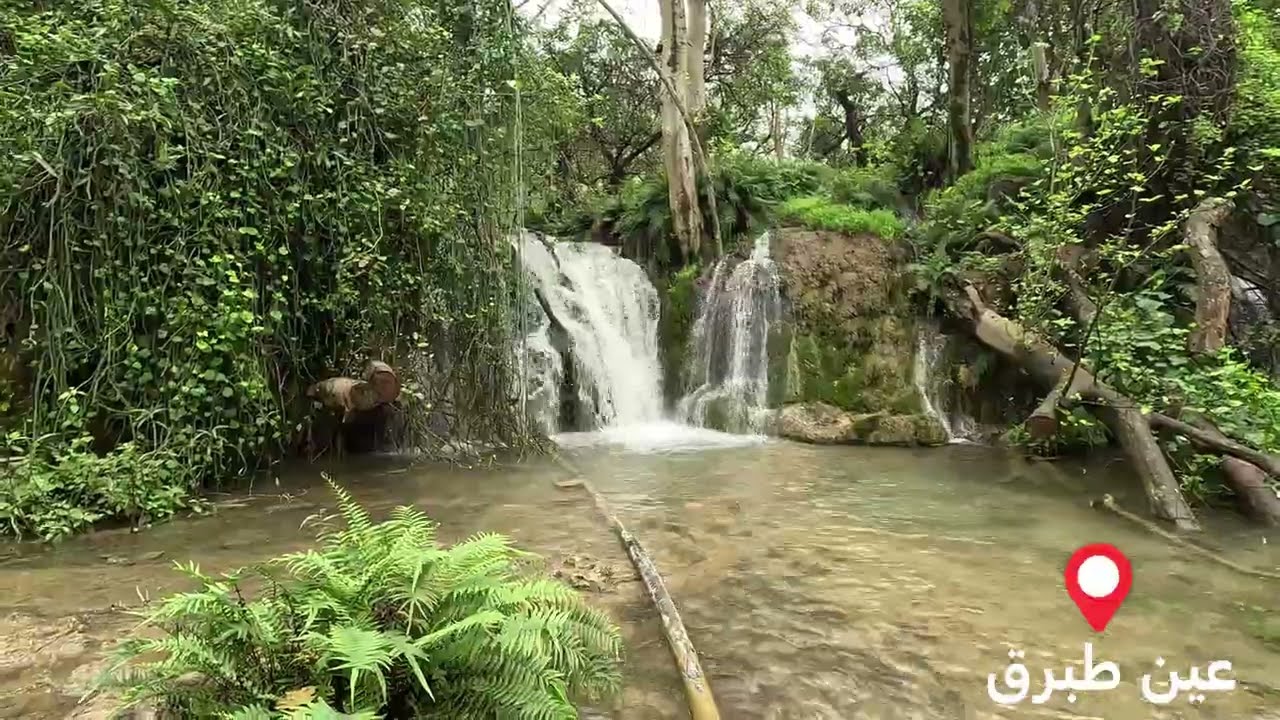 62- رحلة صلالة اغسطس 2024 الجزء الثامن ( عين حمران وطبرق وأثوم)