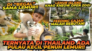 MAIN KE PULAU RING TAIL LEMUR ! ADA RUSA NYASAR MASUK KE KANDANG GAJAH ?!