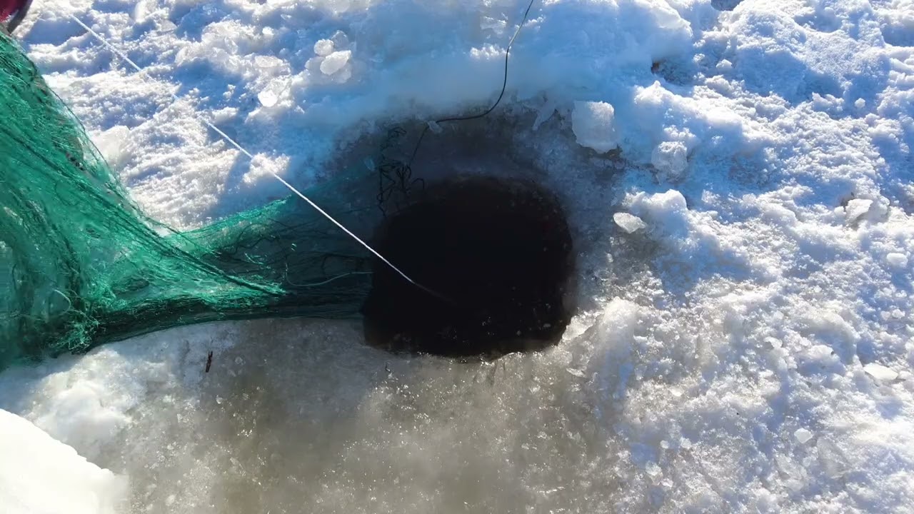 verkkojen vaihto ja uusien uittaminen syvempiin vesiin.