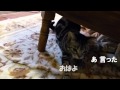 ミカおはよう