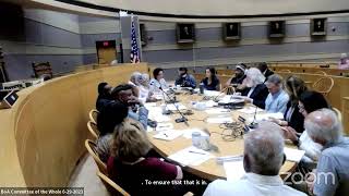 BoA Committee of the Whole 6-29-2023