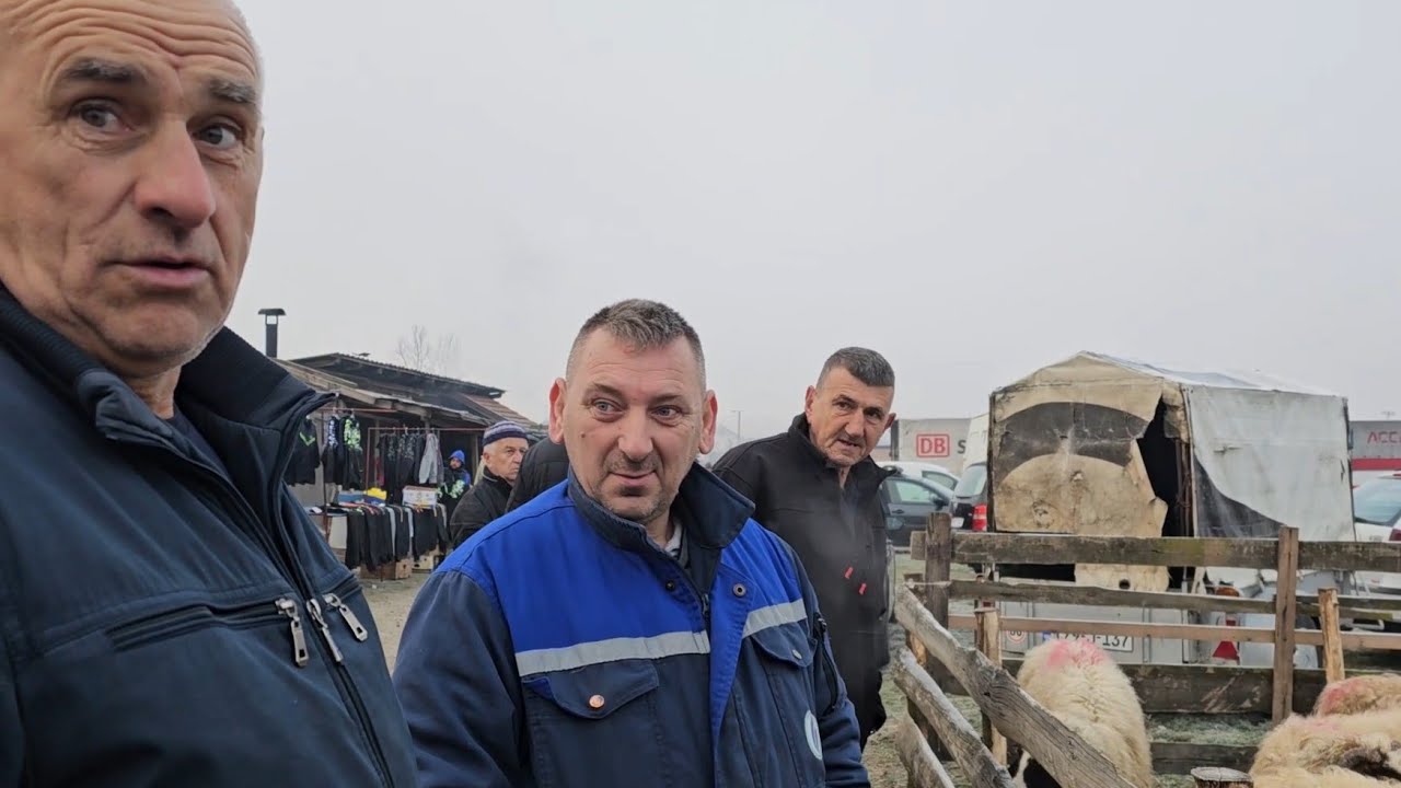 Visoko.pijaca :Za1.Maj možete okrenut janje ,A Za Kurbana nemate pare...