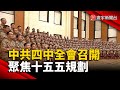 中國四中全會及其影響