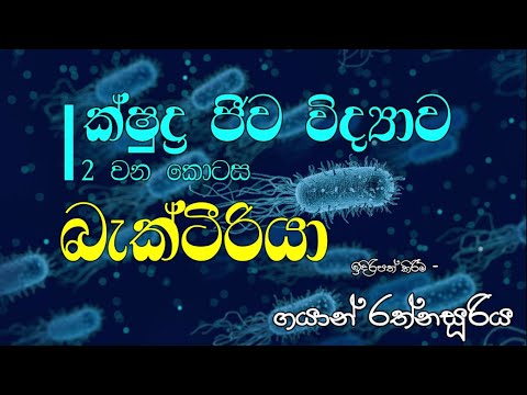 බැක්ටීරියා | ක්ෂුද්‍ර ජීව විද්‍යාව - 2 | උසස් පෙළ ජීව විද්‍යාව | Biology for University Entrance