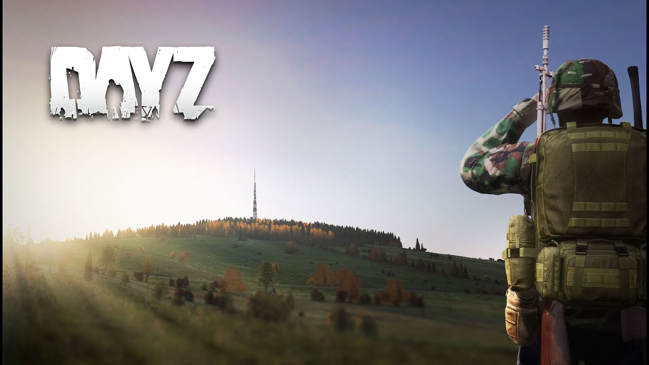My First Year Playing DayZ