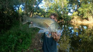 SOO MANY BIG SURFACE BASS!!! ( 50CM+ Australian Bass) PART 1 of 2