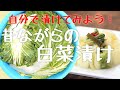 【極上の保存食】白菜漬けを作ろう！【二度漬け】｜How to make Hakusai No Tsukemono(Japanese Pickled Napa Cabbage)