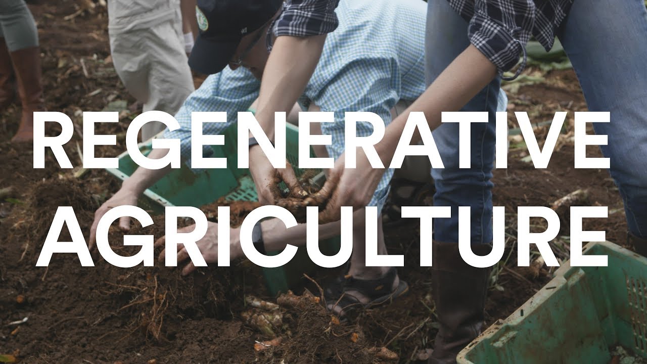 Regenerative Agriculture l Whole Foods Market