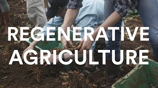 Regenerative Agriculture l Whole Foods Market