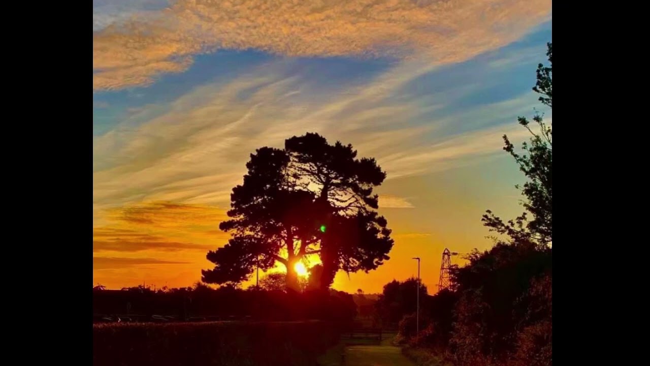 من نصائح الشيخ ربيع بن هادي المدخلي للشباب السلفي