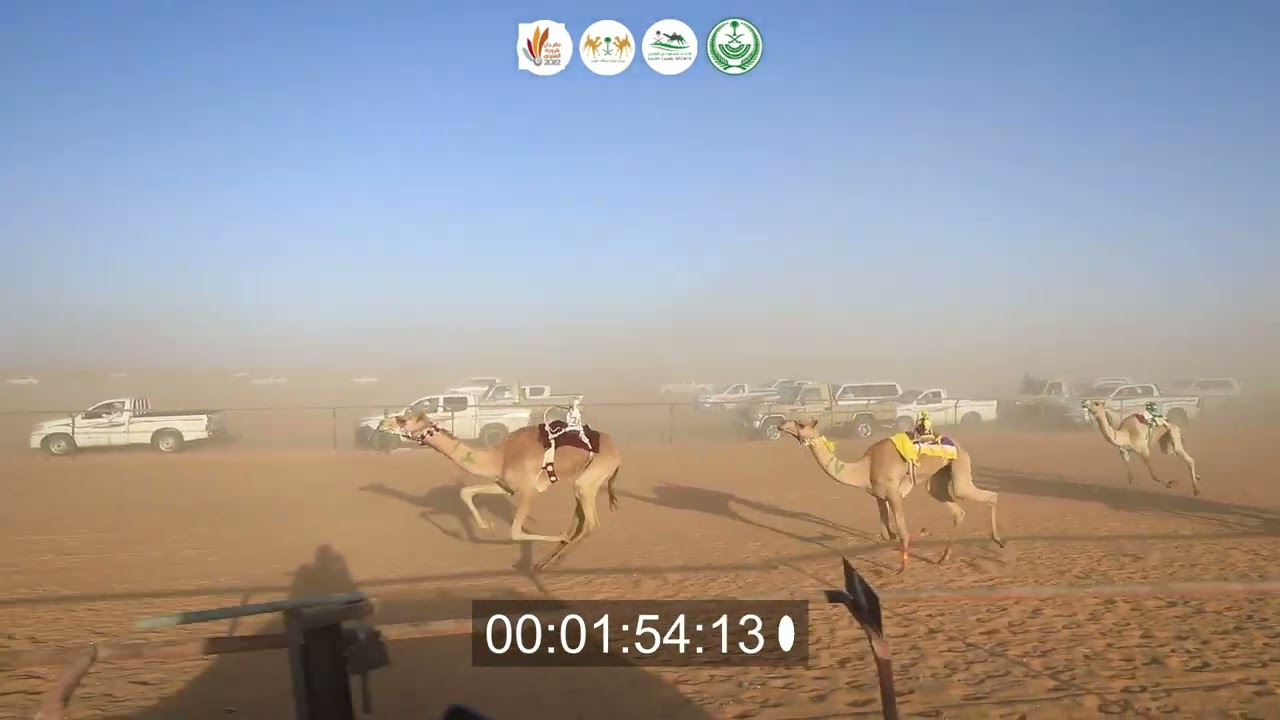 ميدان شروره- الشوط الاول الرئيسي بكار رمز + سياره ( سيوف ) صالح محمد لسود الصيعري