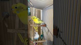 They’re so cute 😊