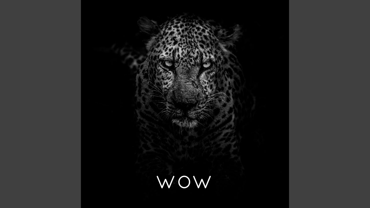 Watch wow on YouTube Watch wow on YouTube