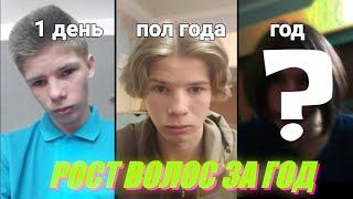 Как растут волосы за 1 год