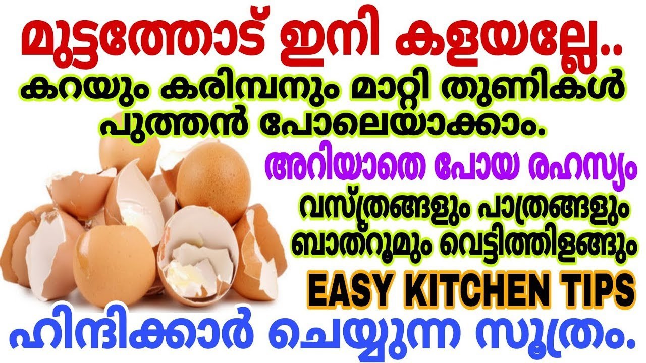 മുട്ടത്തോട് ഇനികളയല്ലേ വസ്ത്രങ്ങളും ബാത്രൂമും പാത്രങ്ങളും വെട്ടിത്തിളങ്ങും| പുതിയരഹസ്യം|Kitchen tips