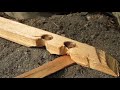 Beginning of video
