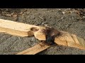 End of video