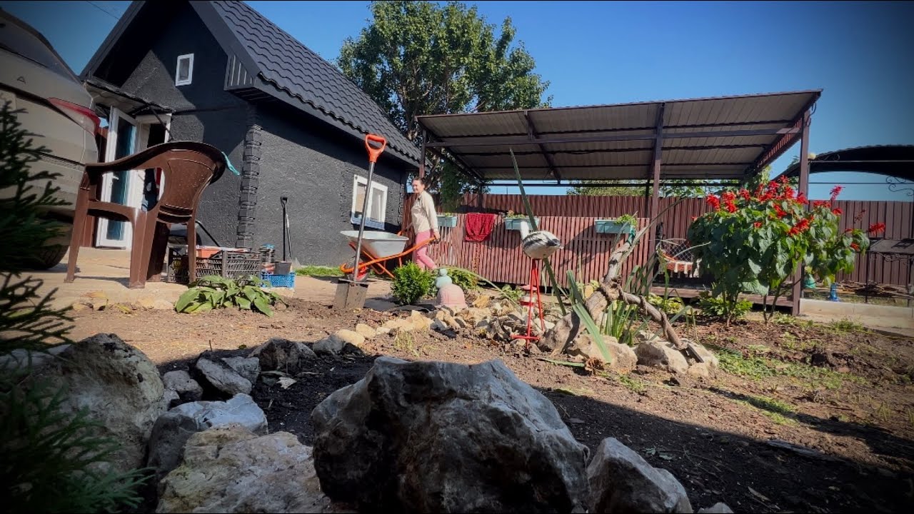 Осенняя посадка туи | Живая изгородь | Вечно зеленый забор | Работа в ...