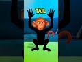 Can We Help the Monkey? 🐒 Fun Body Parts Adventure!