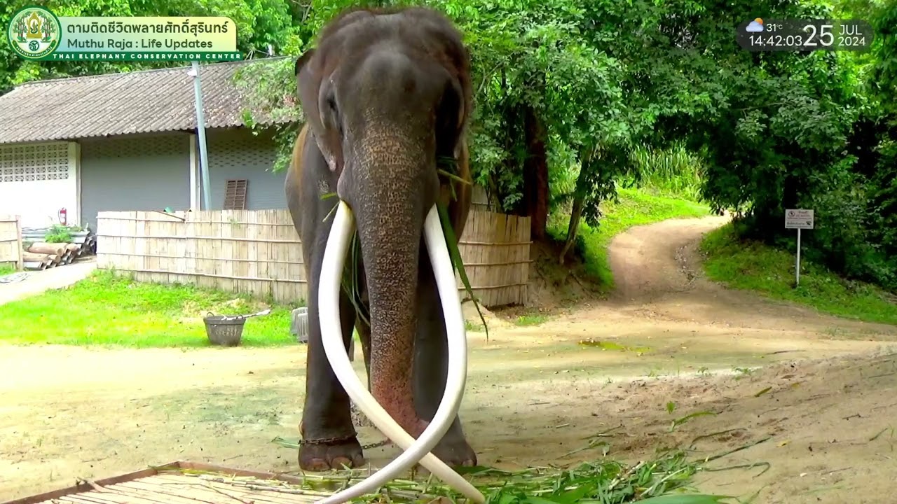 ตามติดชีวิต 