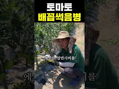 유튜브 미리보기