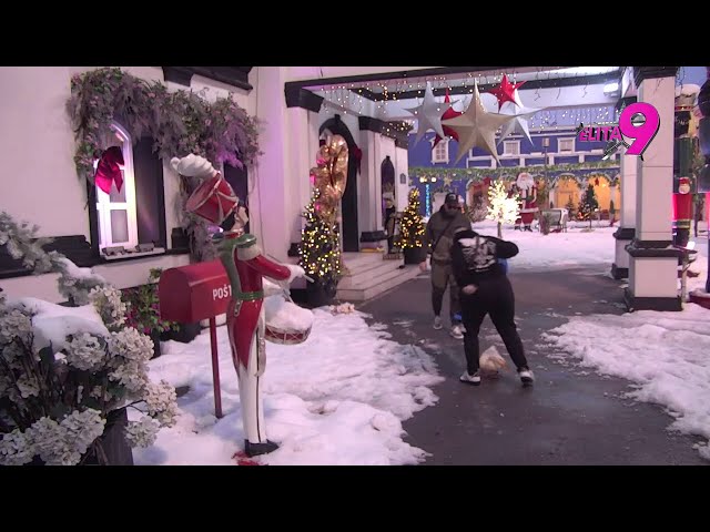 MILOSAVE, JE*O TE PATAK ❗ Matora OPSOVALA sve ŽIVO I MRTVO nakon što je NAPAO PATAK 🦆😂